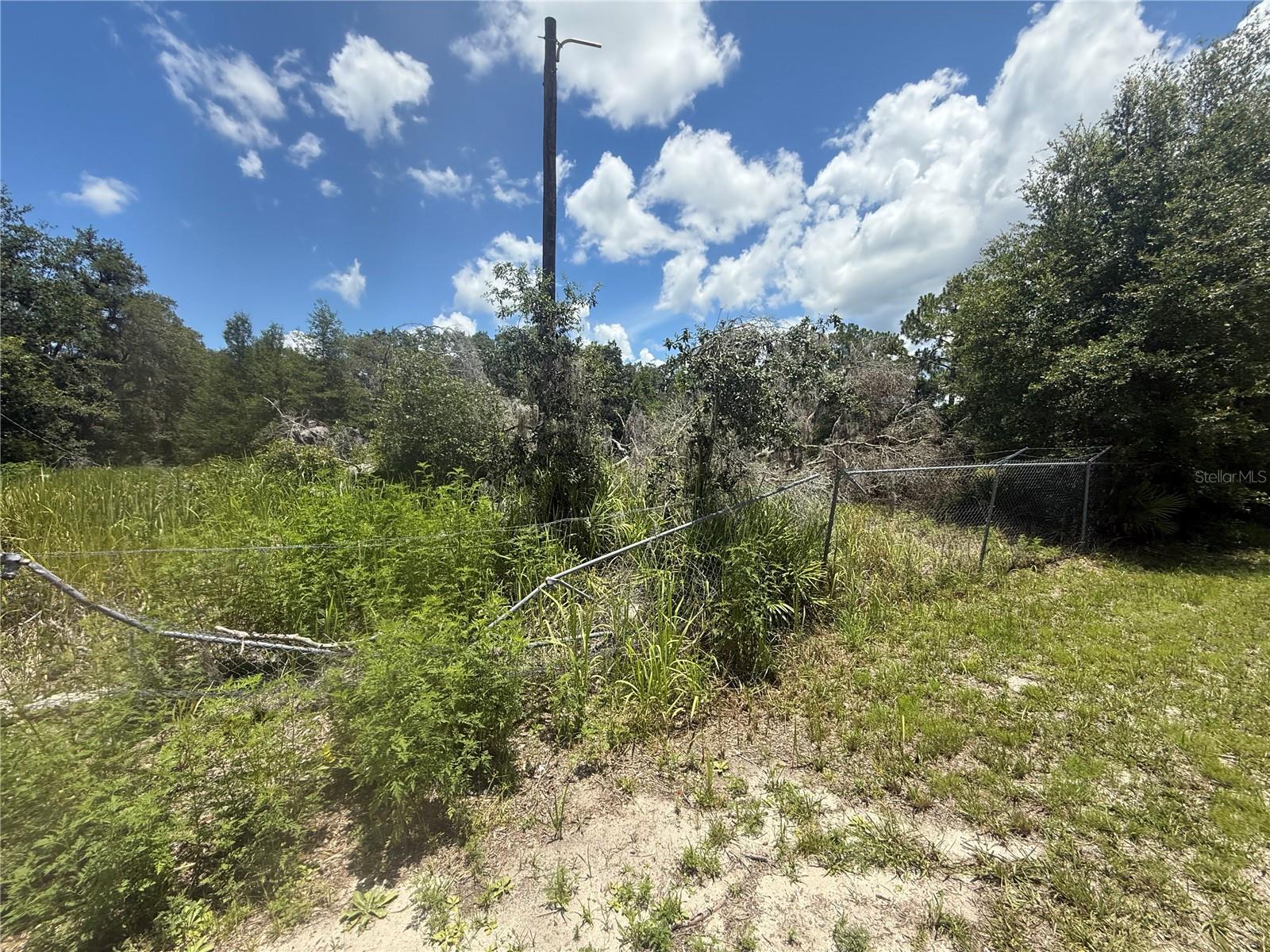 Image 12 of 13 For 0 Goolsby Street