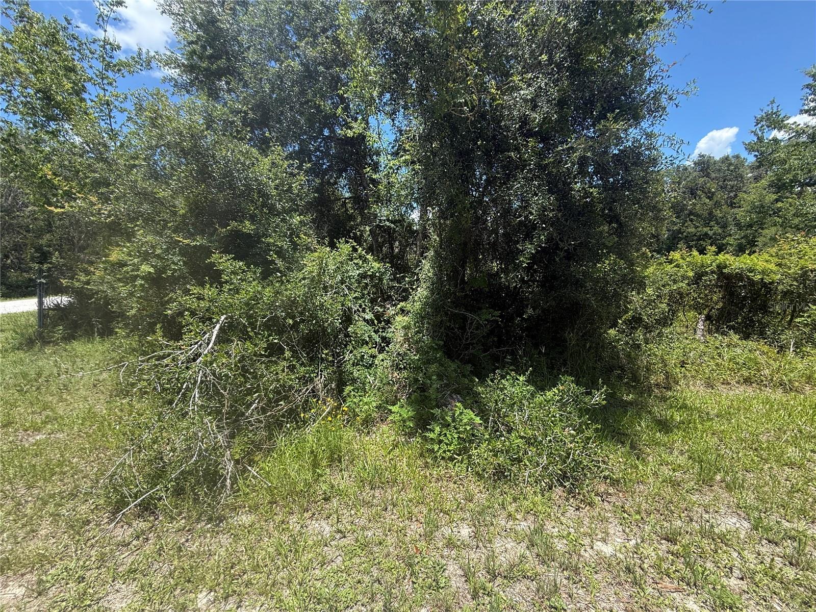 Image 6 of 13 For 0 Goolsby Street