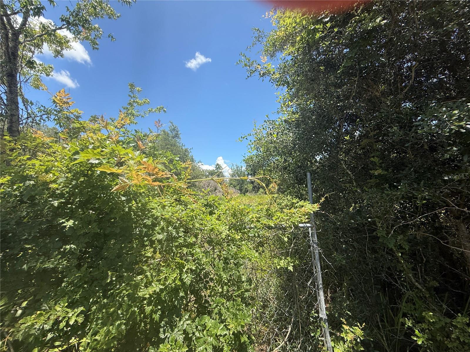 Image 7 of 13 For 0 Goolsby Street