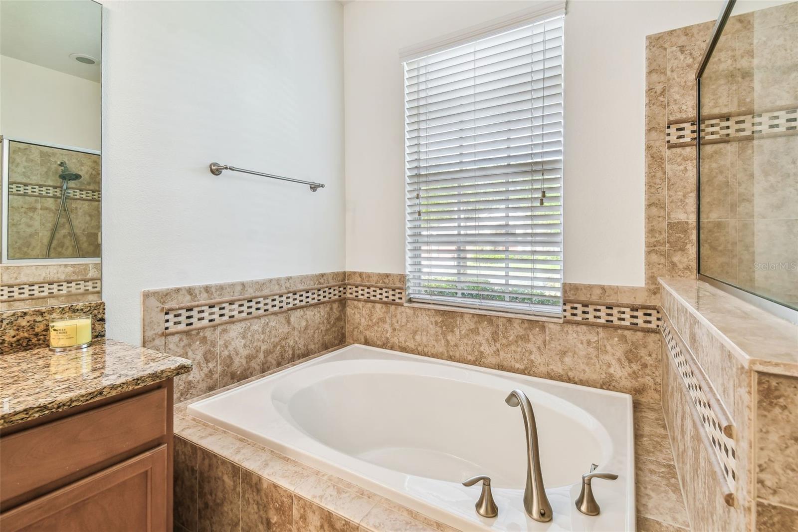 Image 34 of 89 For 9664 Orange Jasmine Way