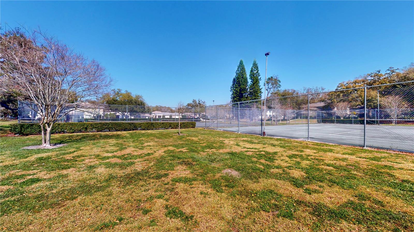 Listing photo id 30 for 11720 Raintree Drive 0