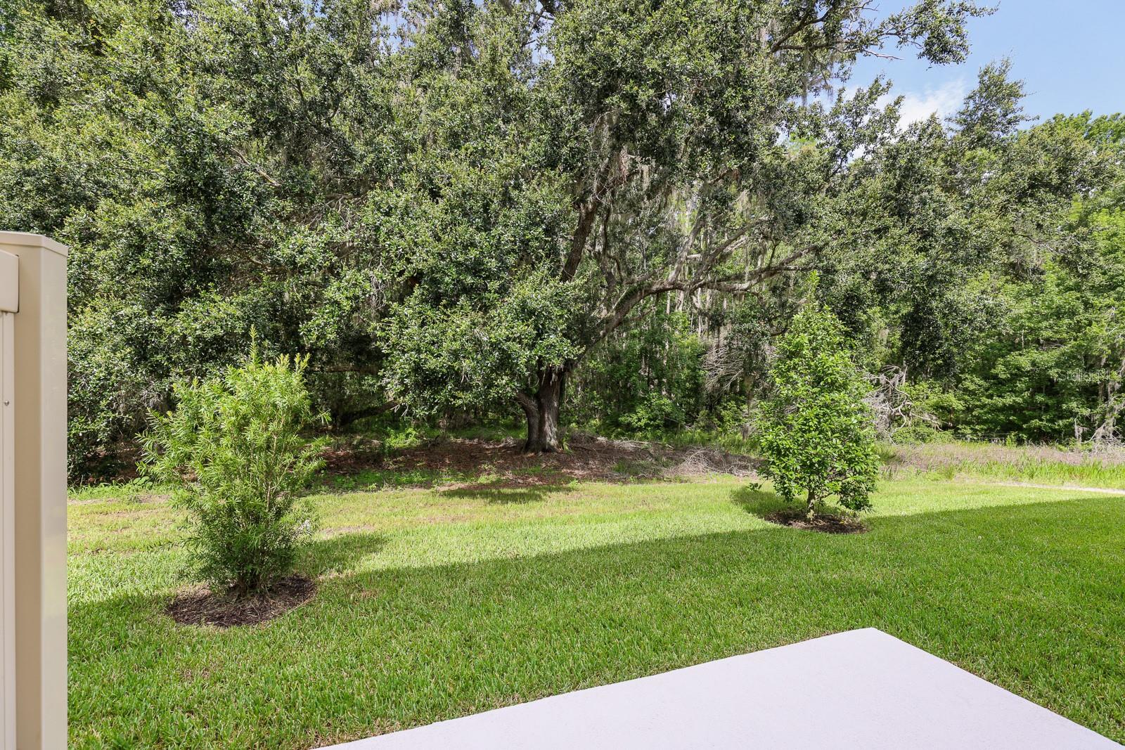 Listing photo id 18 for 2097 Hallier Cove
