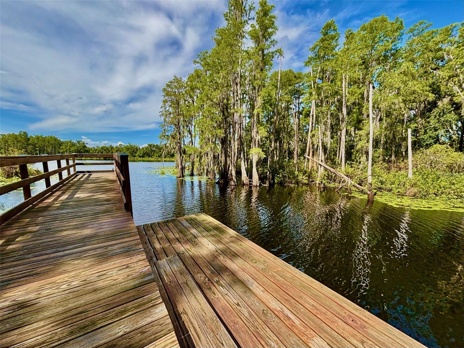 Image 39 of 42 For 6221 Scarlet Darter Way