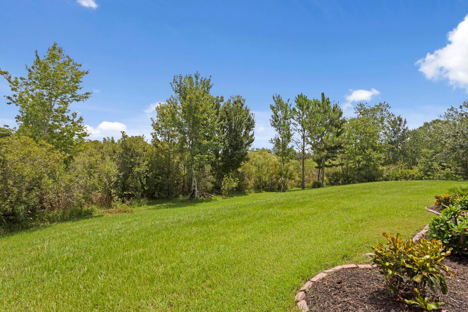 Image 27 of 36 For 27455 Mistflower Drive