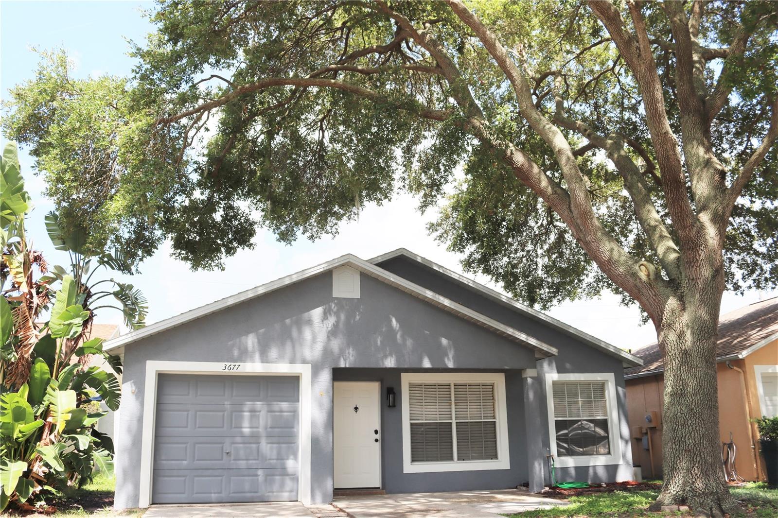 Details for 3677 Amelia Way, PALM HARBOR, FL 34684