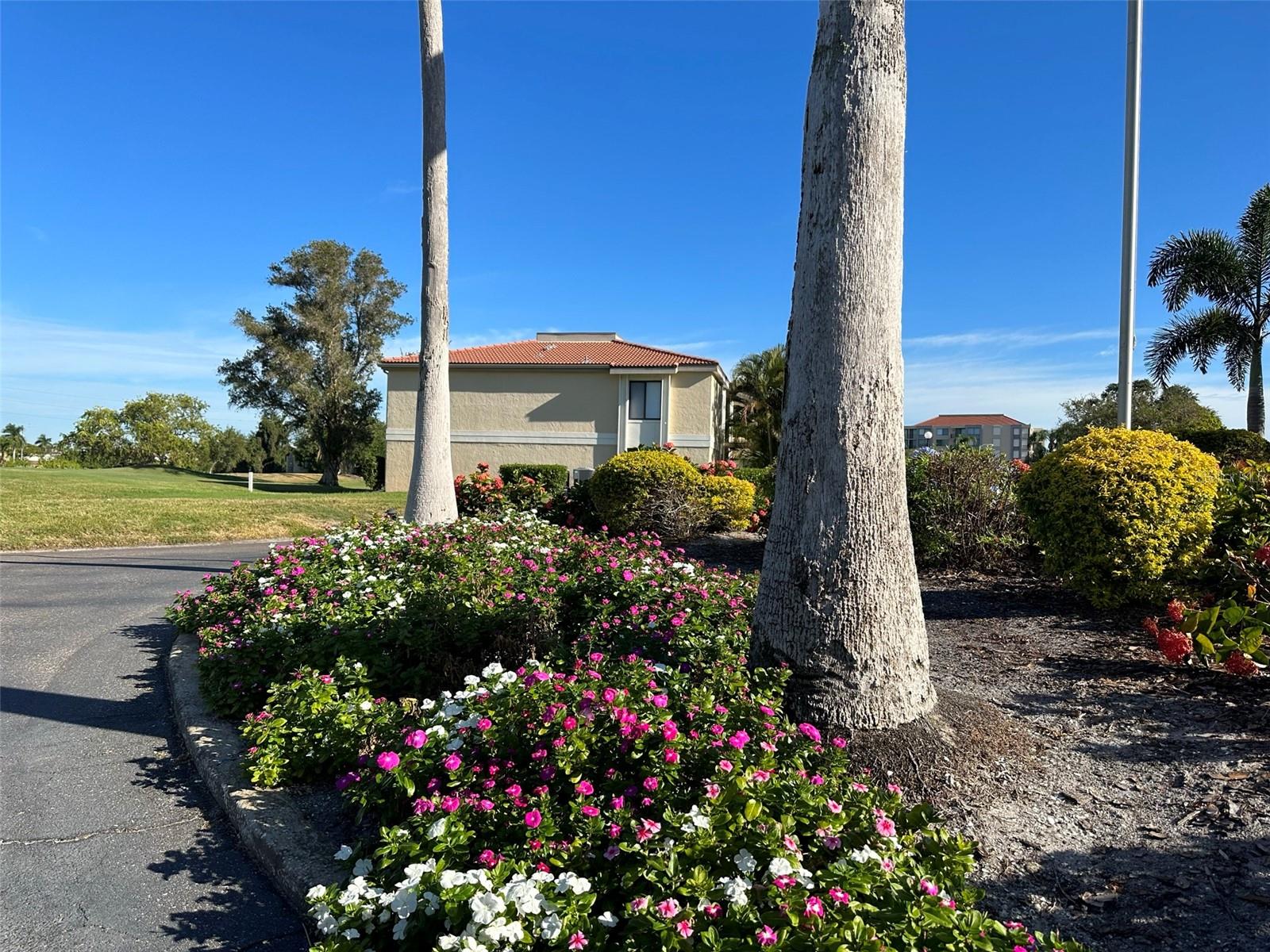 Image 2 of 22 For 6121 Palma Del Mar Boulevard S 227