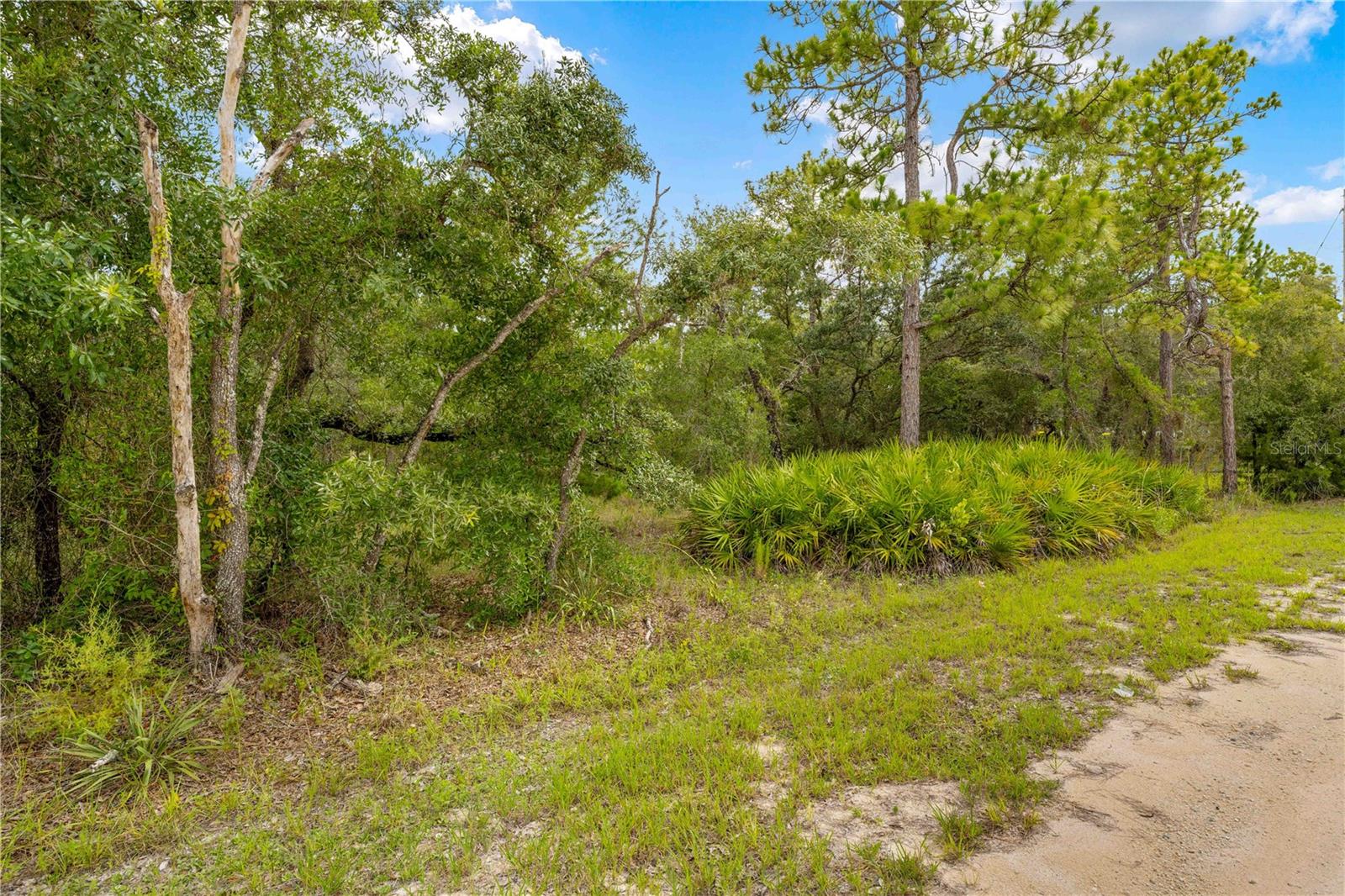 Details for 0000 Marsh Owl Avenue, WEEKI WACHEE, FL 34614