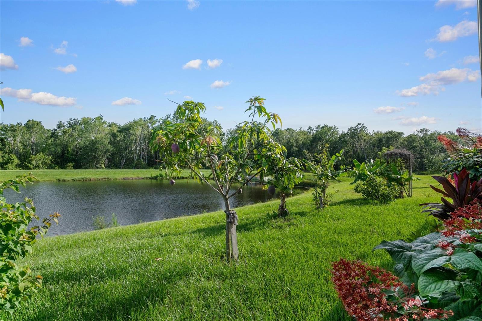 Listing photo id 24 for 11303 Misty Moss Drive