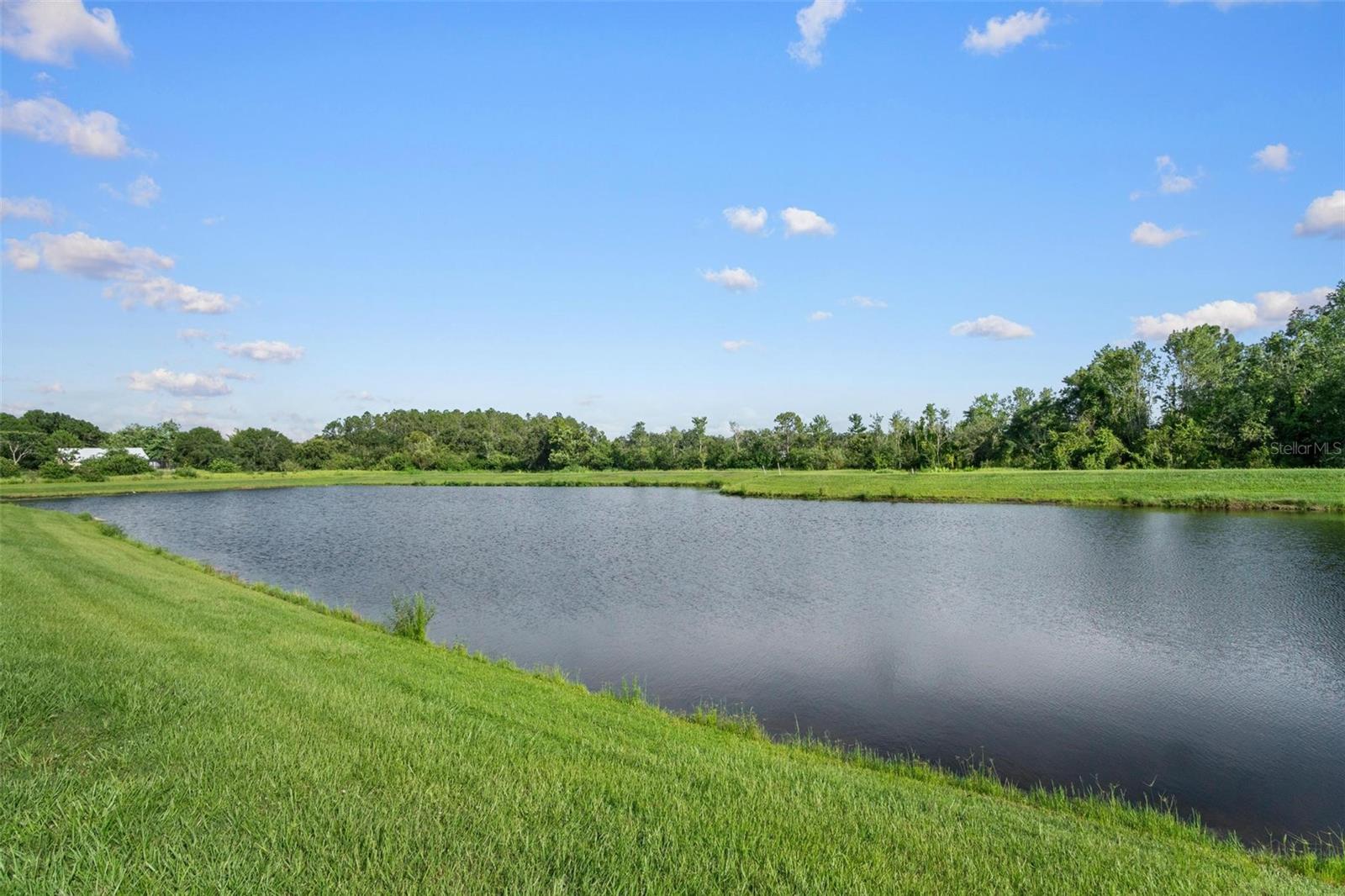 Listing photo id 28 for 11303 Misty Moss Drive
