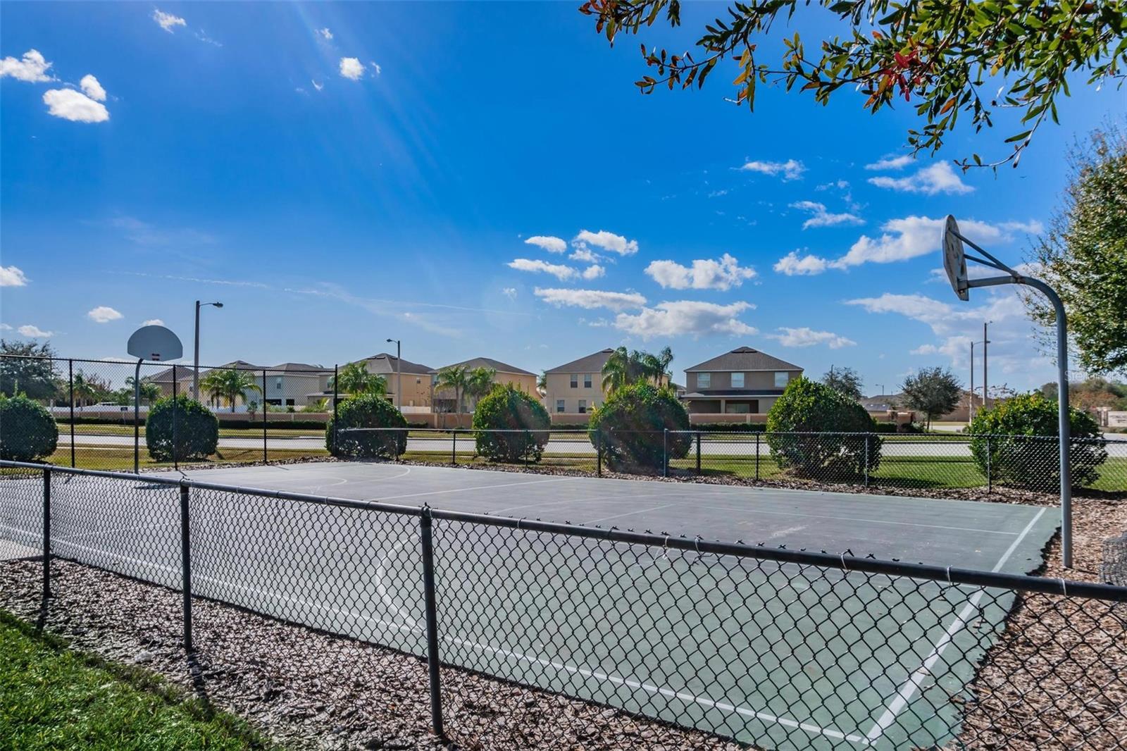 Listing photo id 31 for 11303 Misty Moss Drive