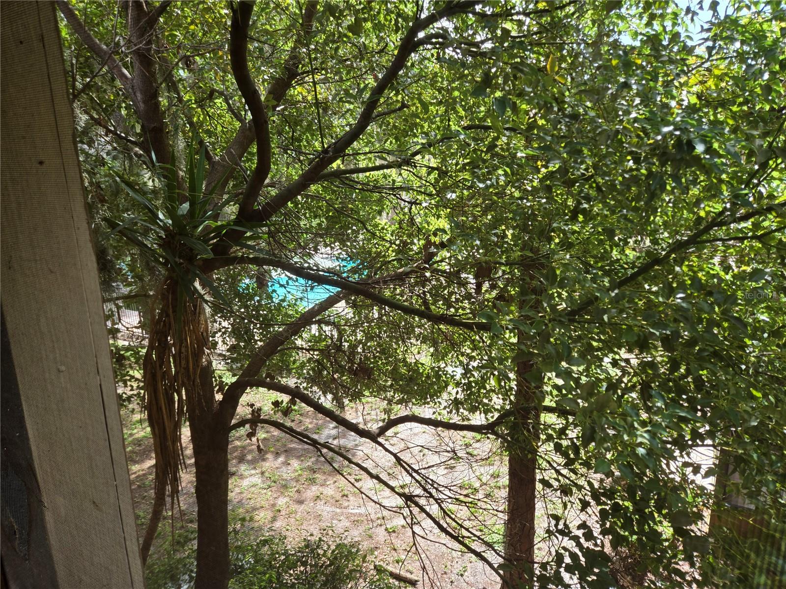 Image 25 of 25 For 7511 Pitch Pine Circle Apt D