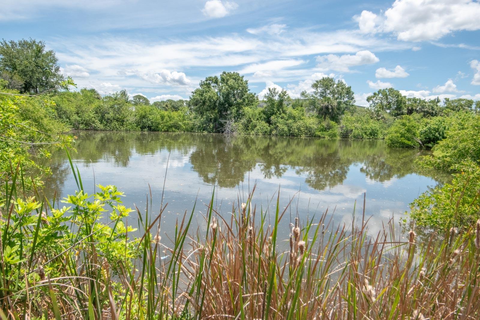 Image 9 of 11 For 102 Lookout Drive