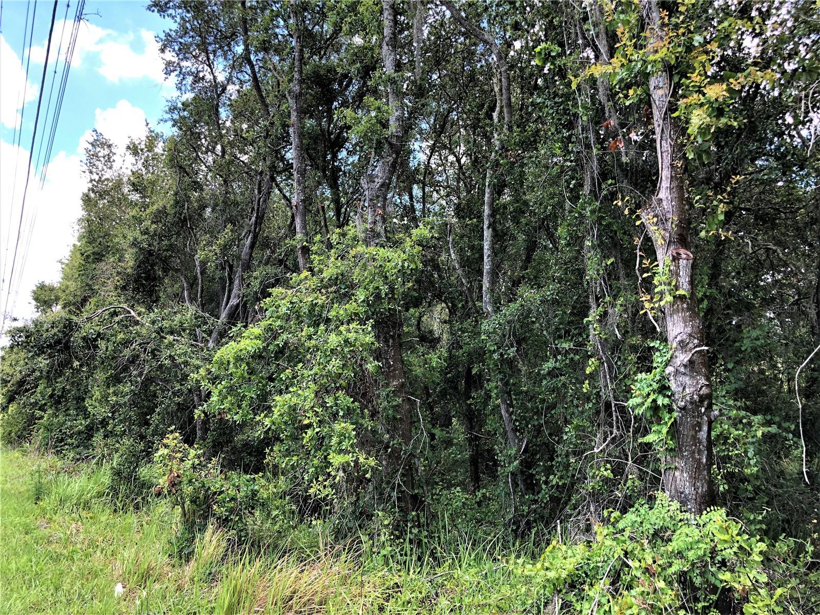 Image 11 of 69 For 7239 County Line Road