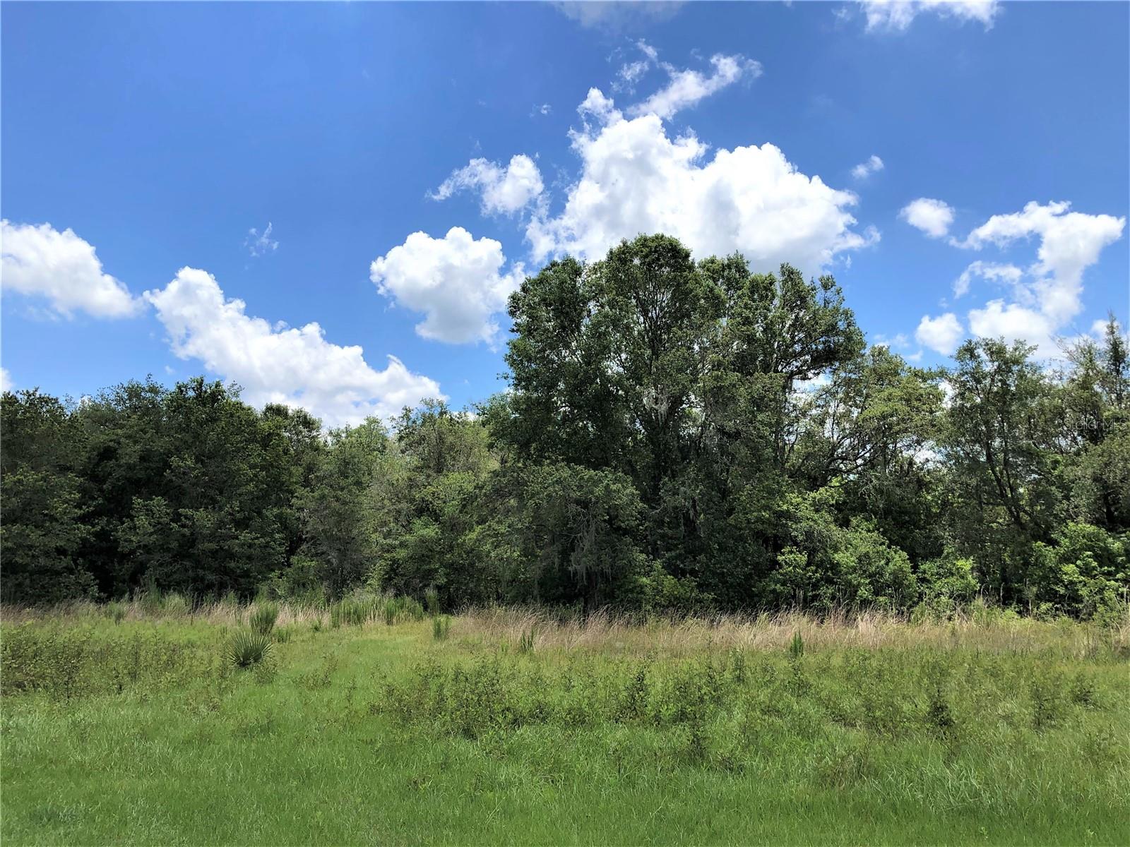 Image 14 of 69 For 7239 County Line Road