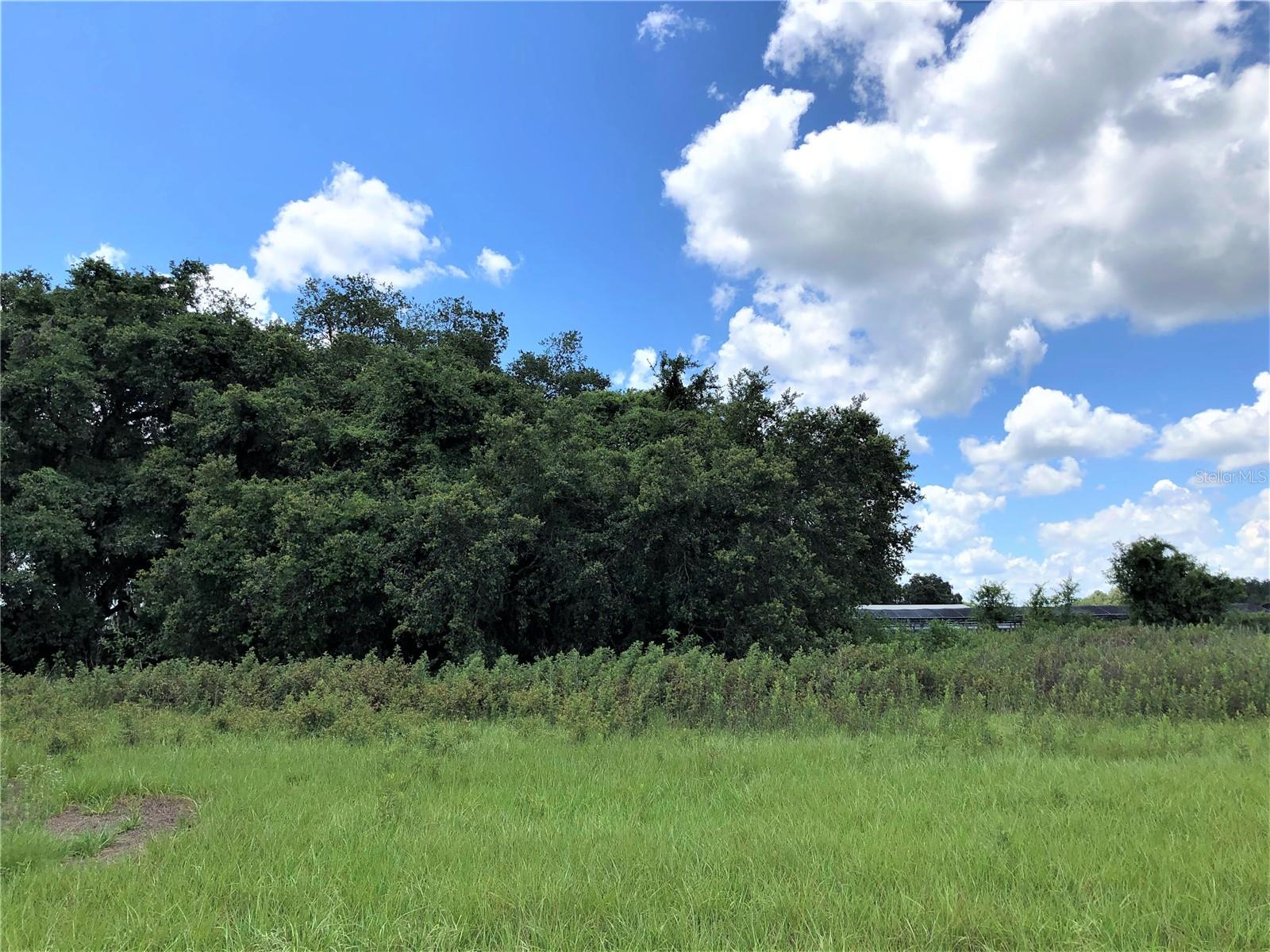 Image 5 of 69 For 7239 County Line Road