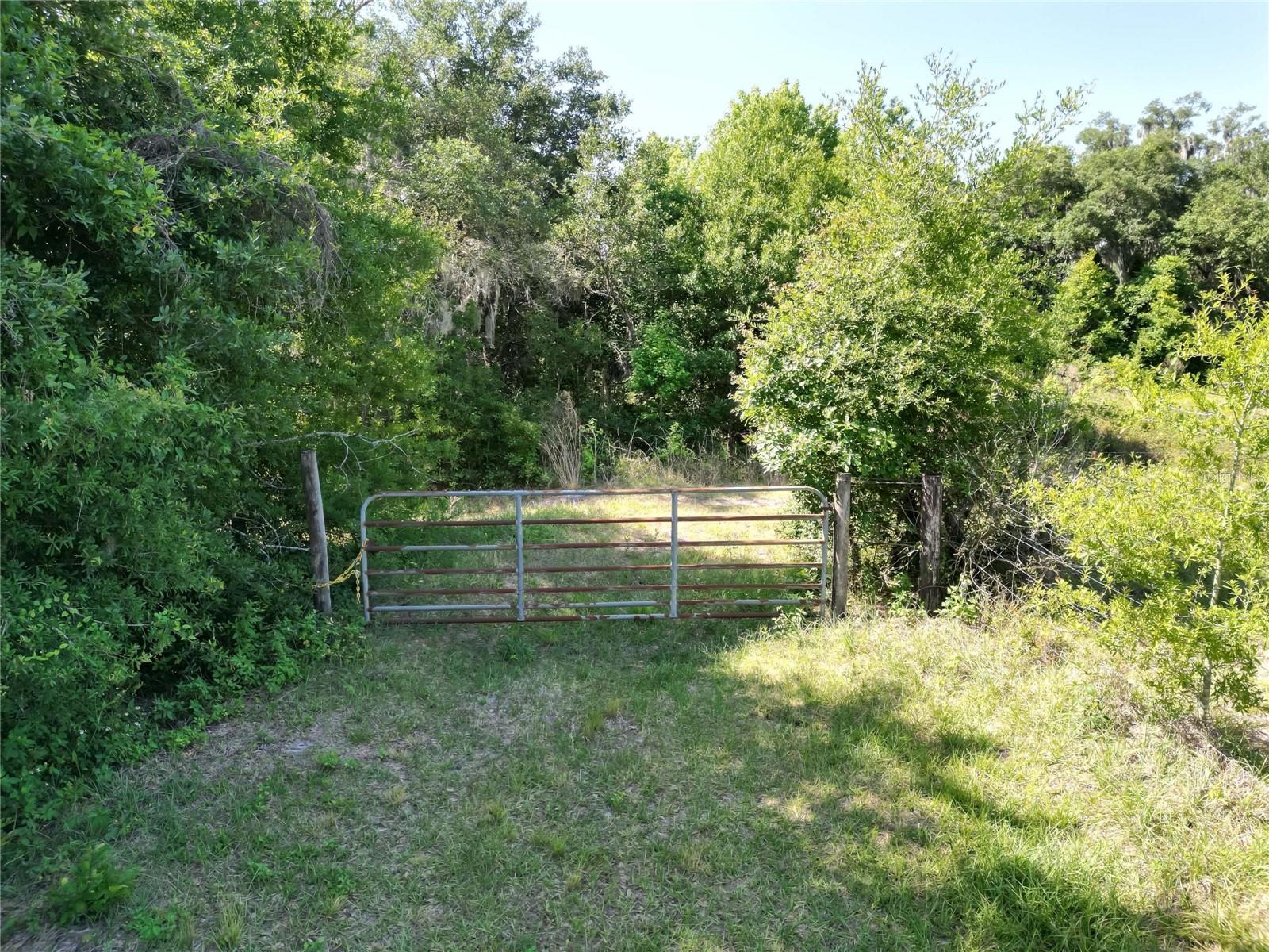Image 64 of 69 For 7239 County Line Road