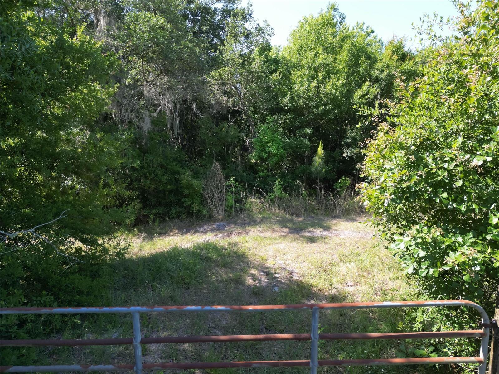 Image 65 of 69 For 7239 County Line Road