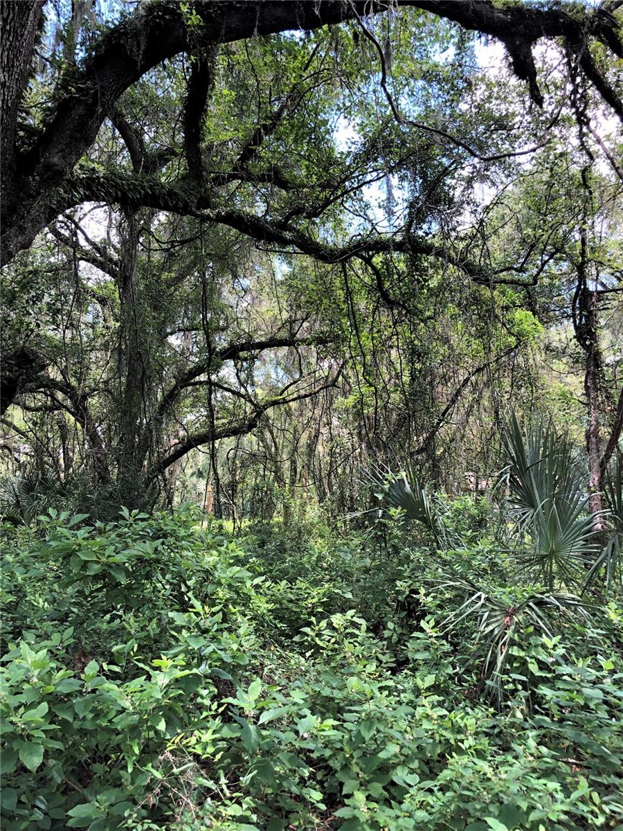 Image 9 of 69 For 7239 County Line Road