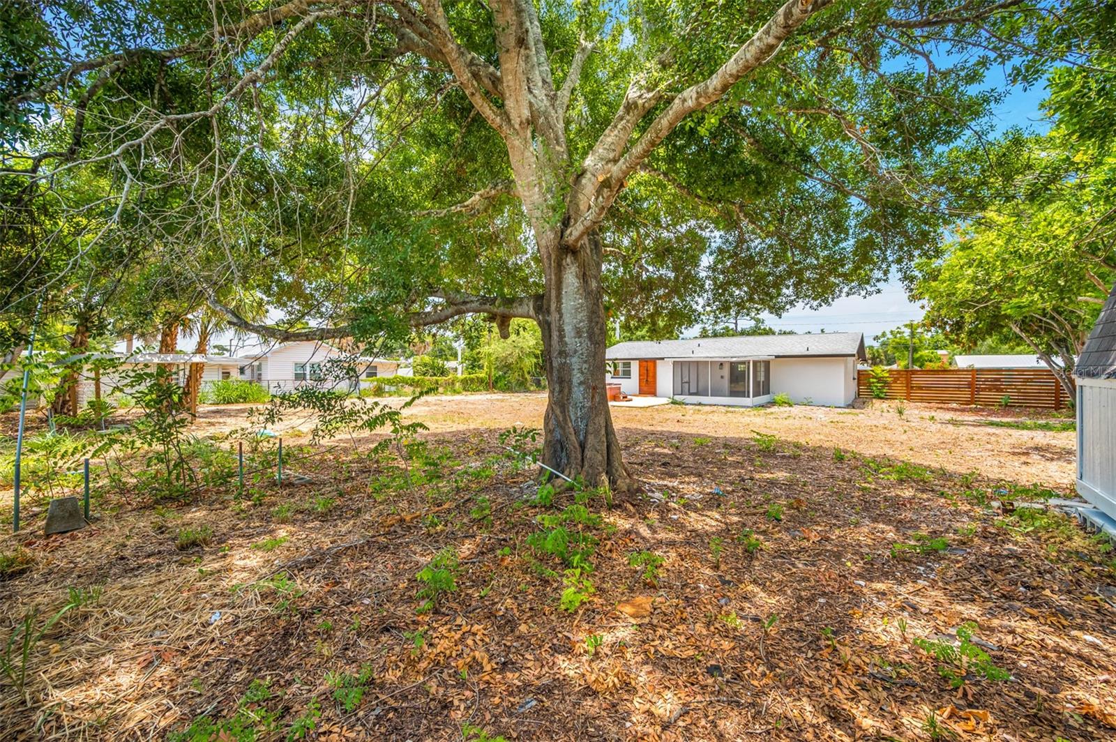 Image 49 of 83 For 208 Palmetto Road W