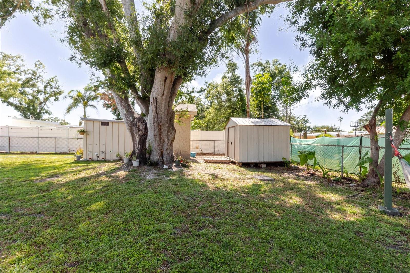 Image 51 of 57 For 6145 55th Avenue N