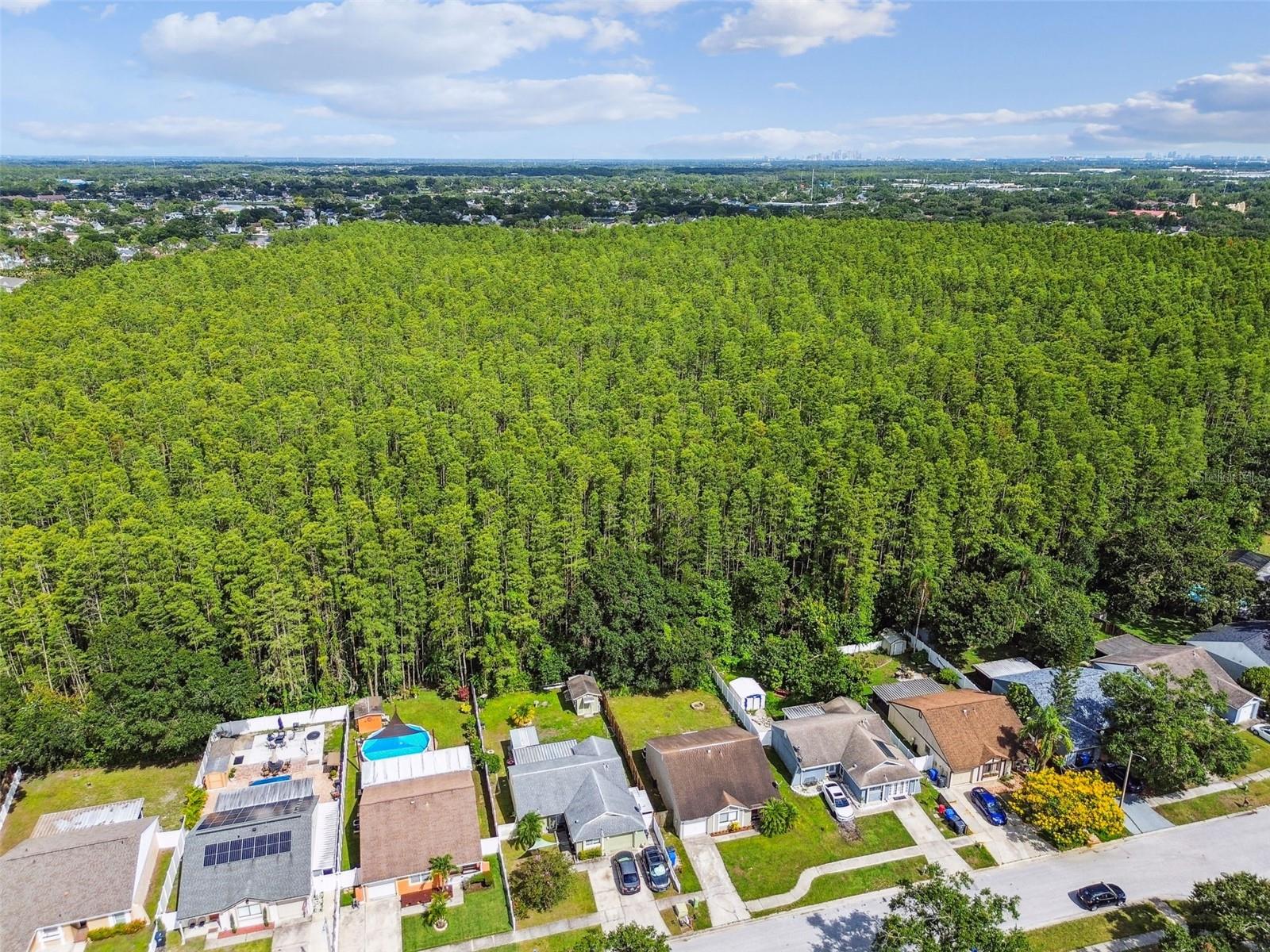 Image 42 of 44 For 12315 Hidden Brook Drive