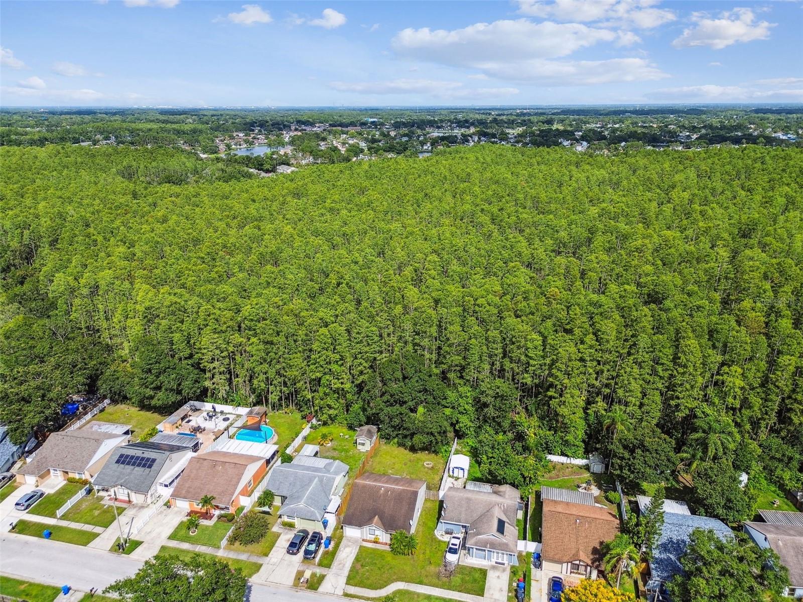 Image 43 of 44 For 12315 Hidden Brook Drive