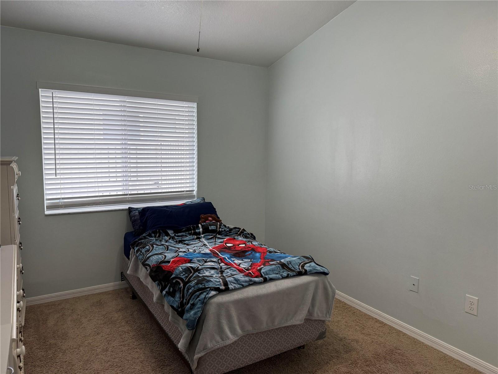 Listing photo id 19 for 4835 Barchetta Drive