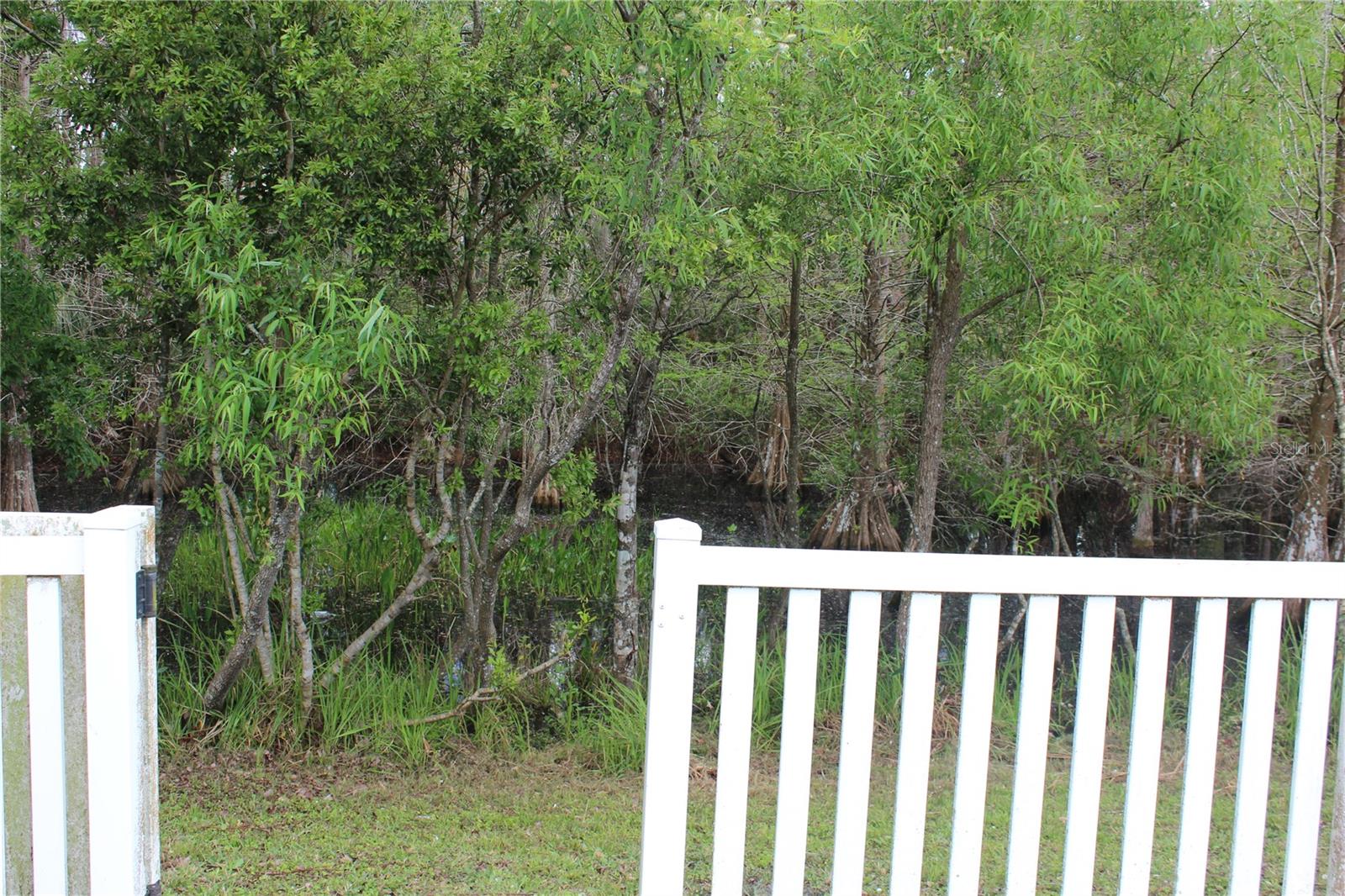 Listing photo id 27 for 4835 Barchetta Drive