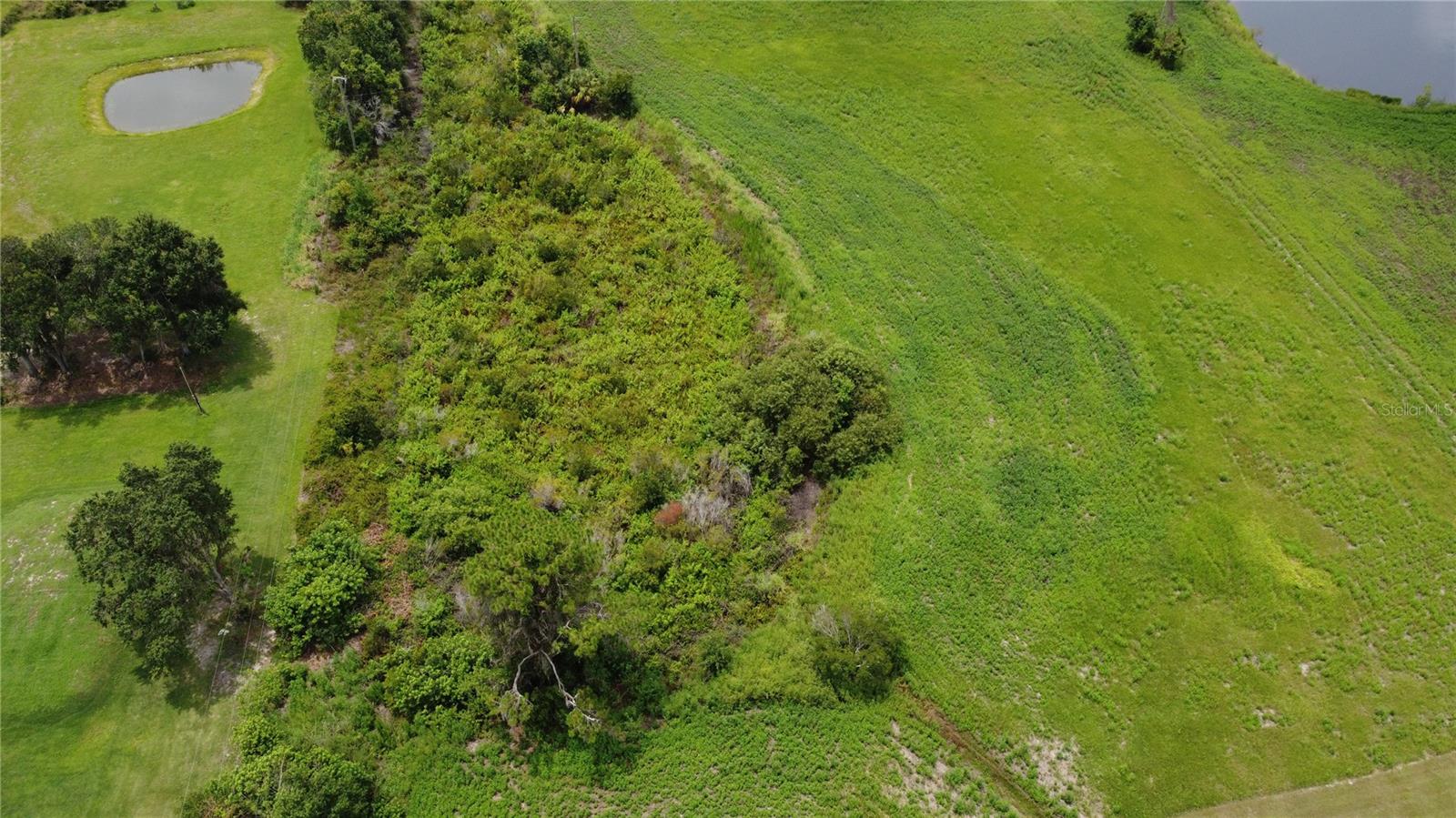 Image 18 of 21 For 6501 Muck Pond Road