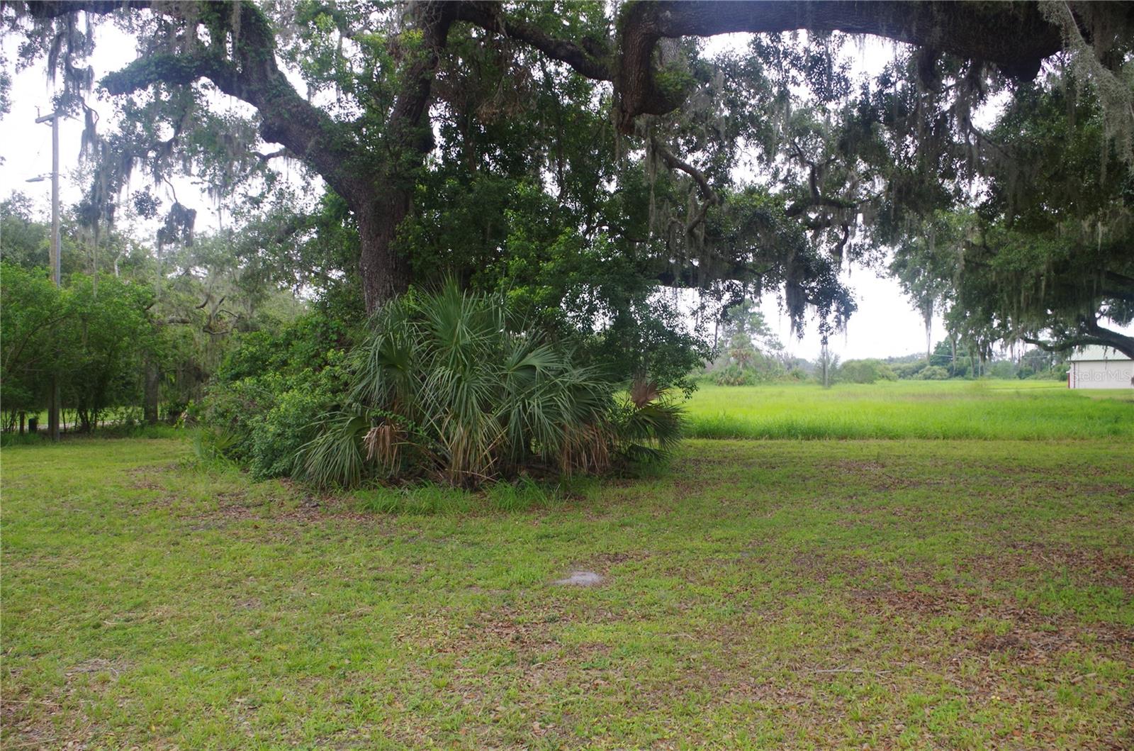 Image 5 of 21 For 6501 Muck Pond Road