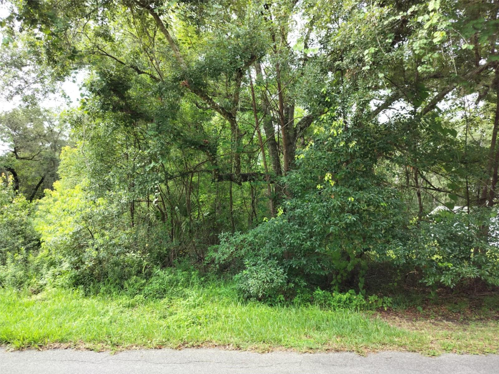 Image 11 of 30 For 19308 Wildwood Drive