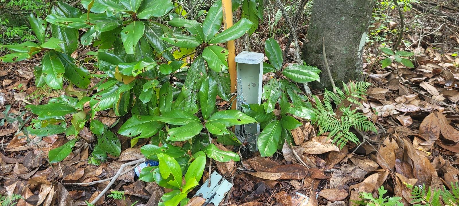 Image 11 of 11 For Flatwoods Road