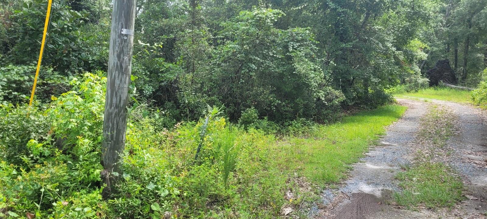 Image 7 of 11 For Flatwoods Road