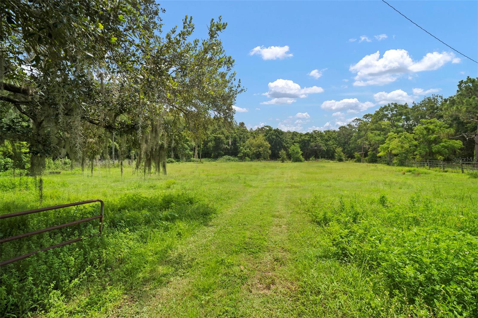 Listing photo id 7 for 1934 Rowland Drive