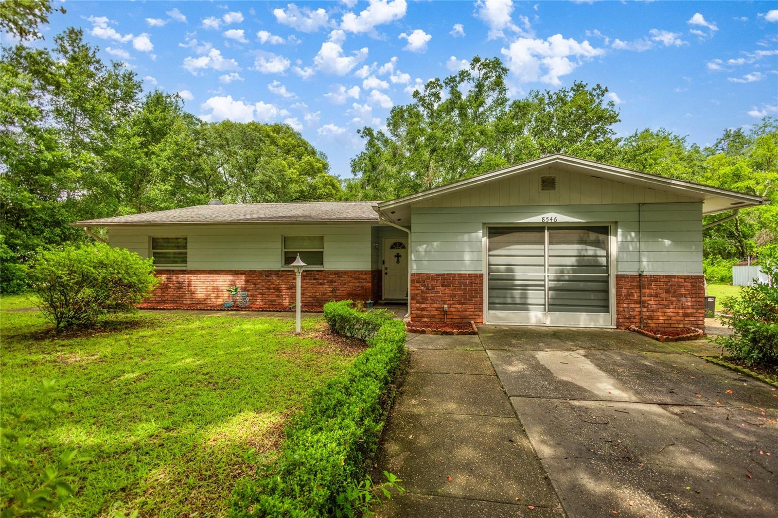 Listing photo id 38 for 8546 Fauci Point