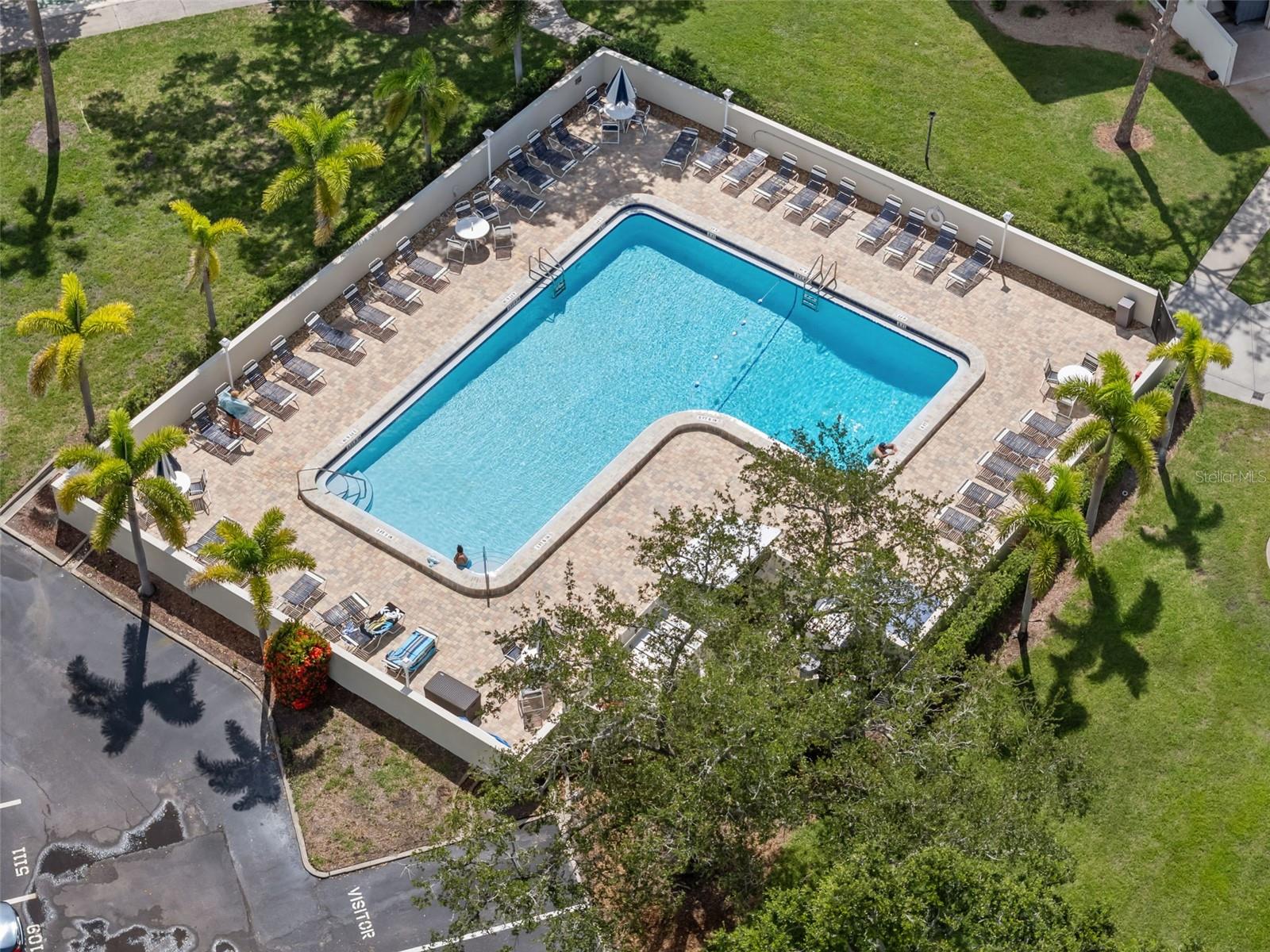 Image 17 of 25 For 2700 Bayshore Boulevard 2312