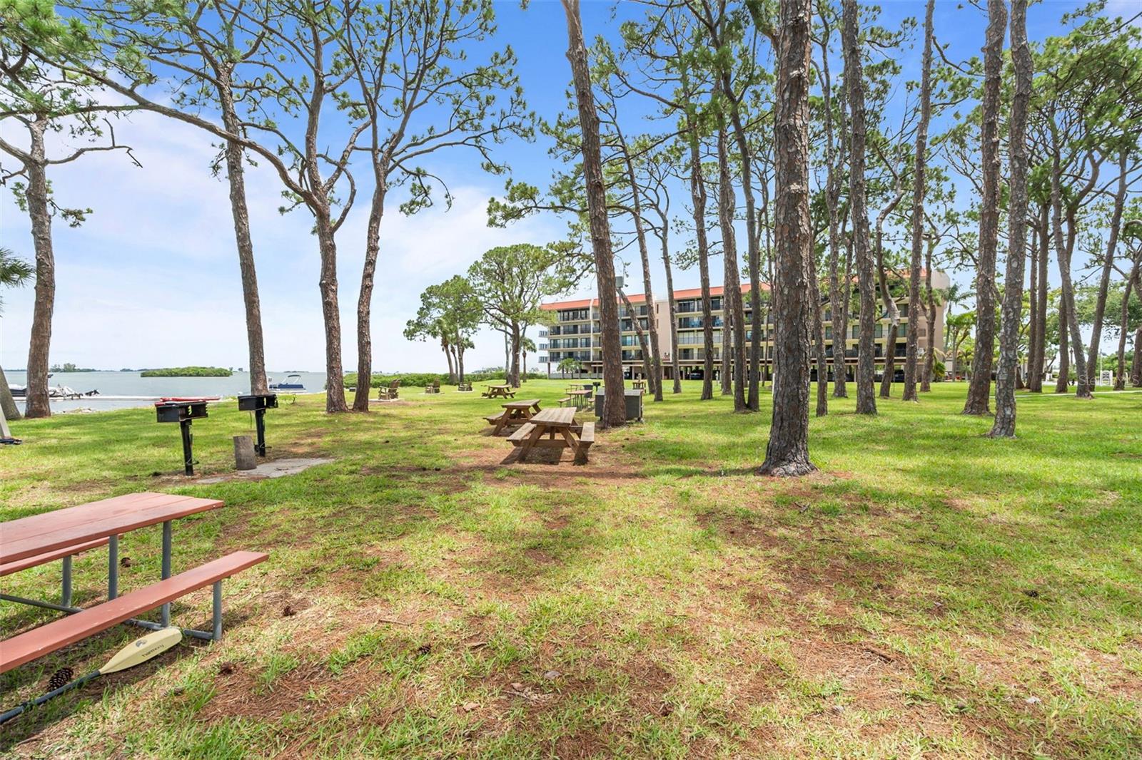 Image 19 of 25 For 2700 Bayshore Boulevard 2312