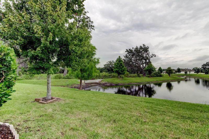 Listing photo id 21 for 6395 Cobble Bliss Street