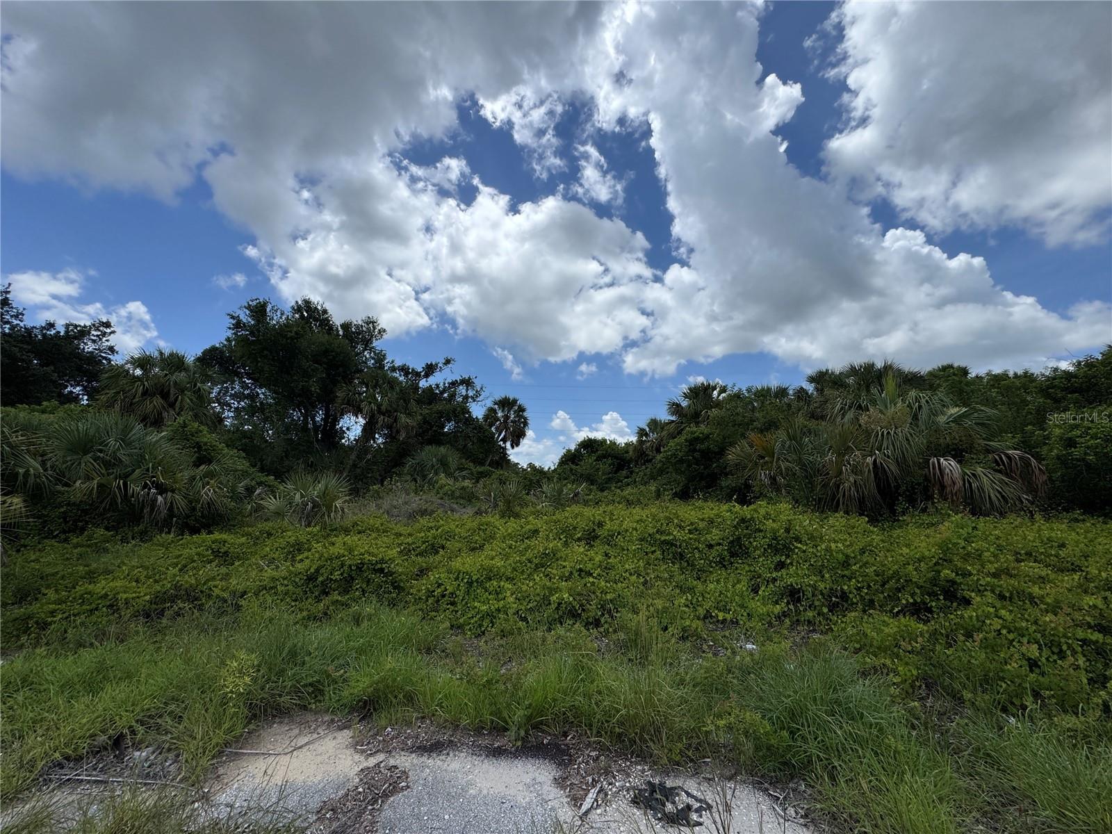 Details for  Nace Court , NORTH PORT, FL 34288
