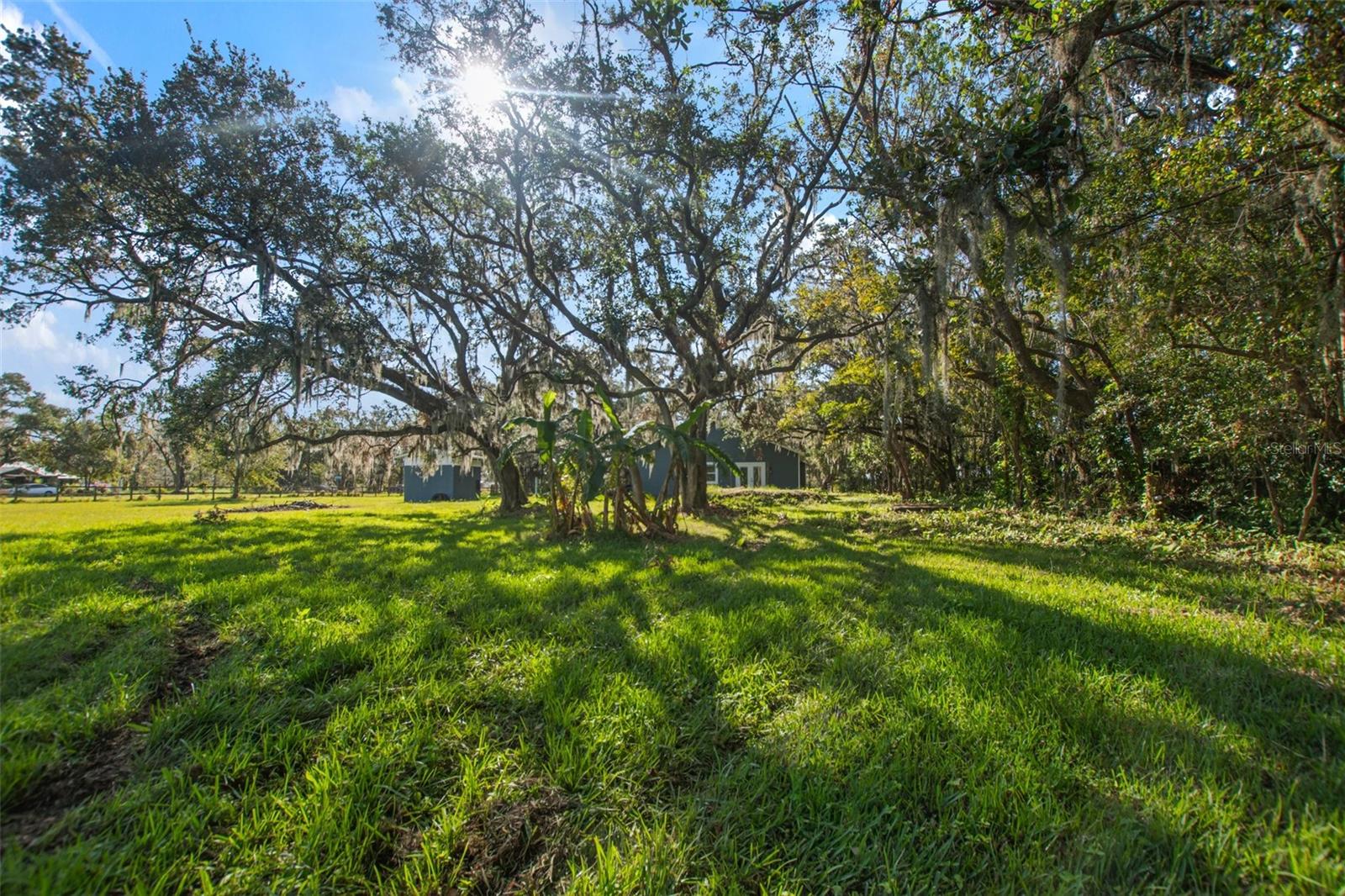 Image 47 of 58 For 3106 Trapnell Road