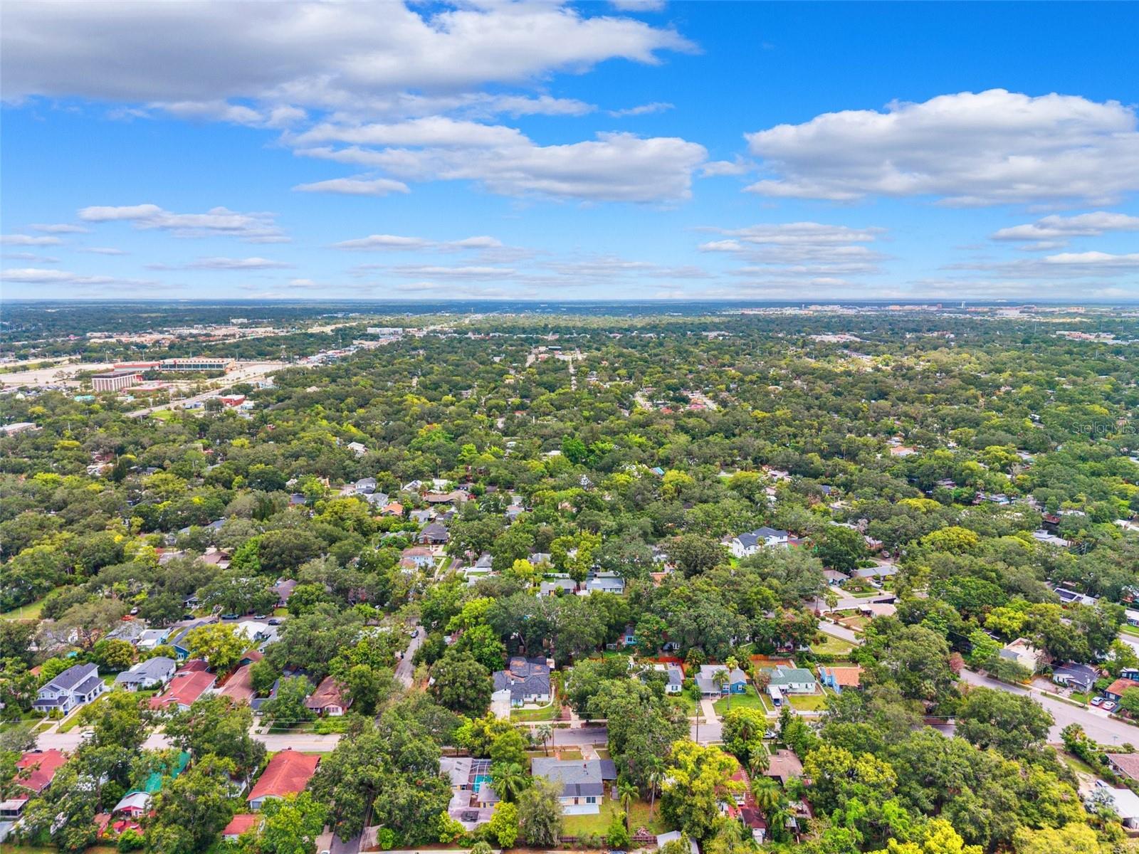 Listing photo id 25 for 1205 Hamilton Avenue