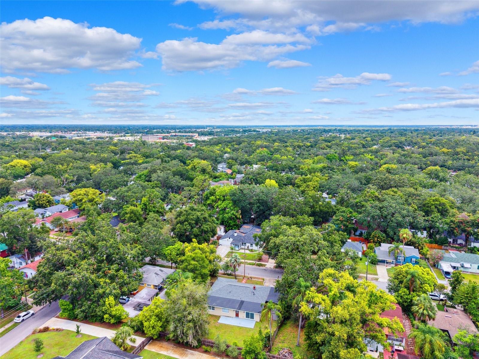 Listing photo id 27 for 1205 Hamilton Avenue