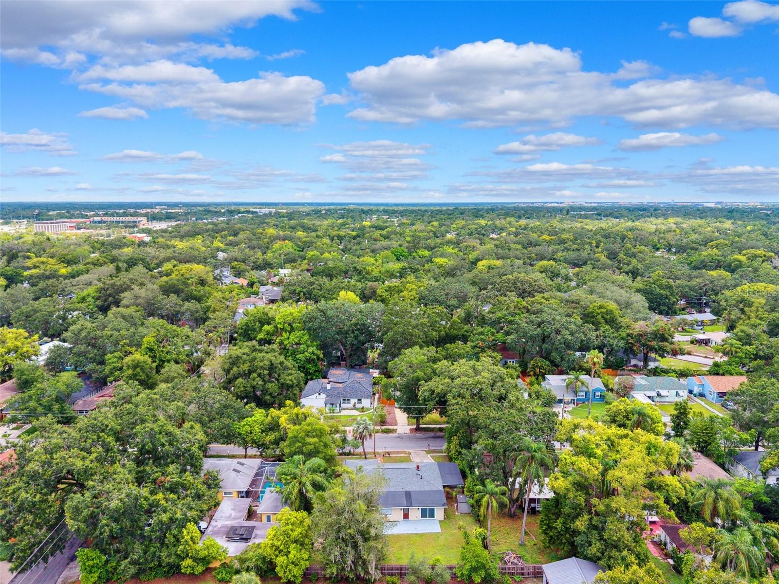 Listing photo id 28 for 1205 Hamilton Avenue