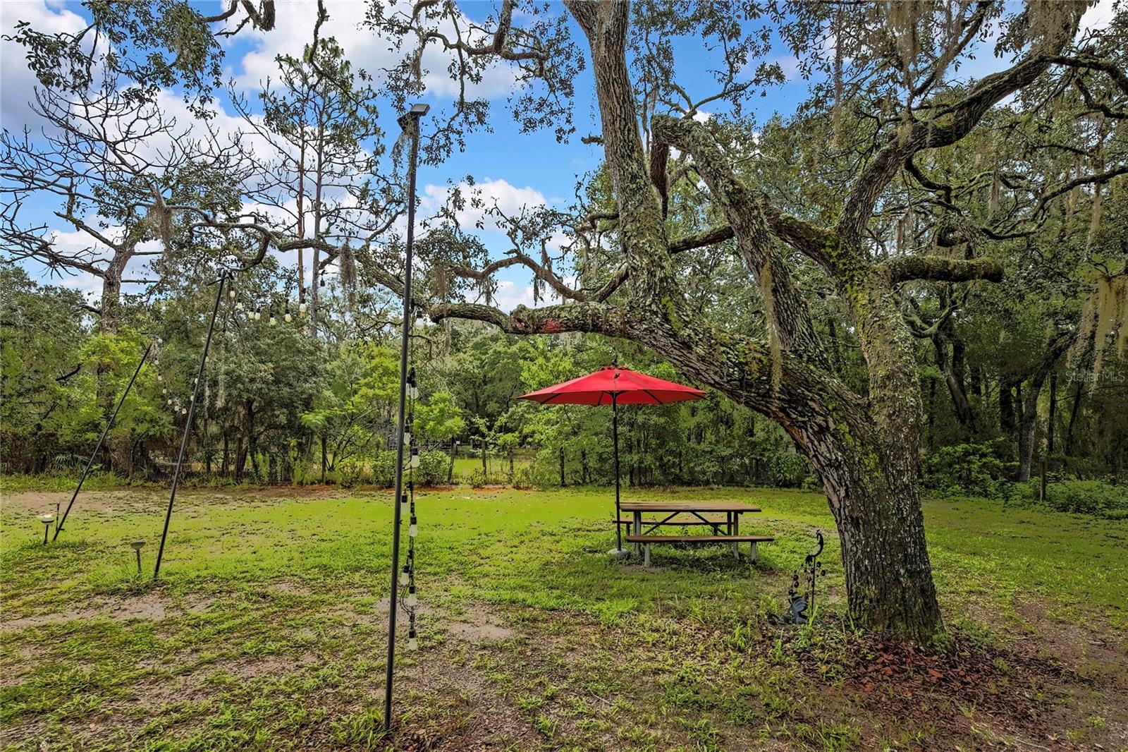 Listing photo id 3 for 3771 Millston Point