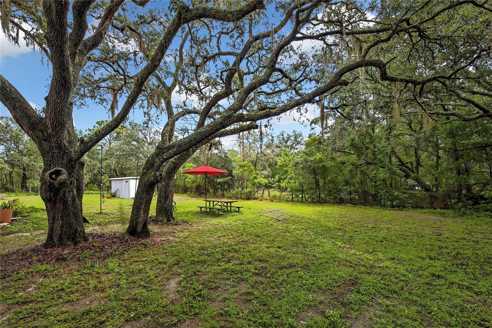 Listing photo id 5 for 3771 Millston Point