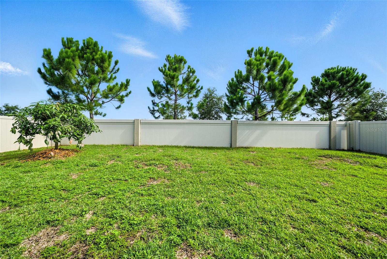 Image 10 of 53 For 9864 Smarty Jones Drive