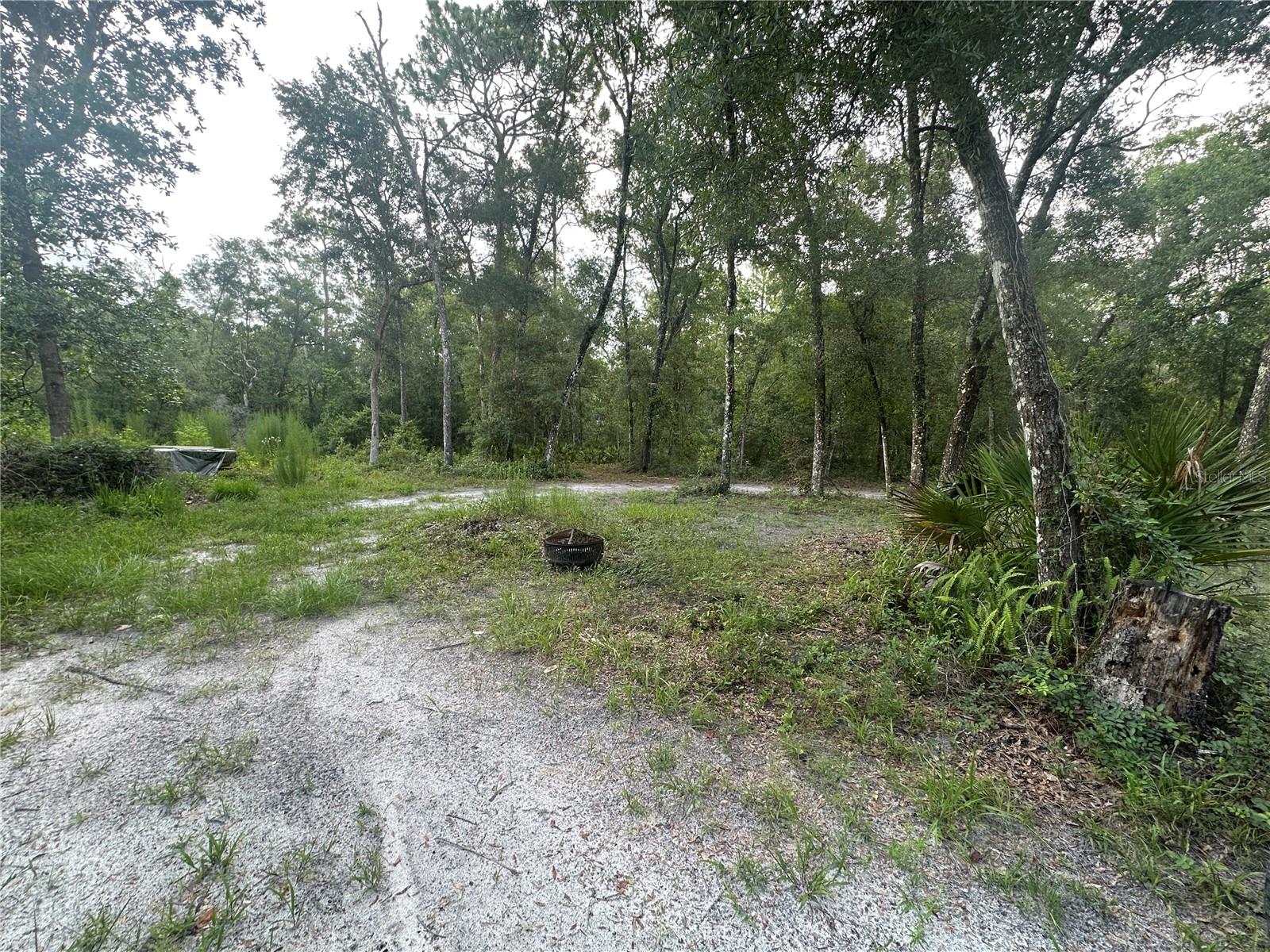 Listing photo id 15 for 14347 Old Hunter Road