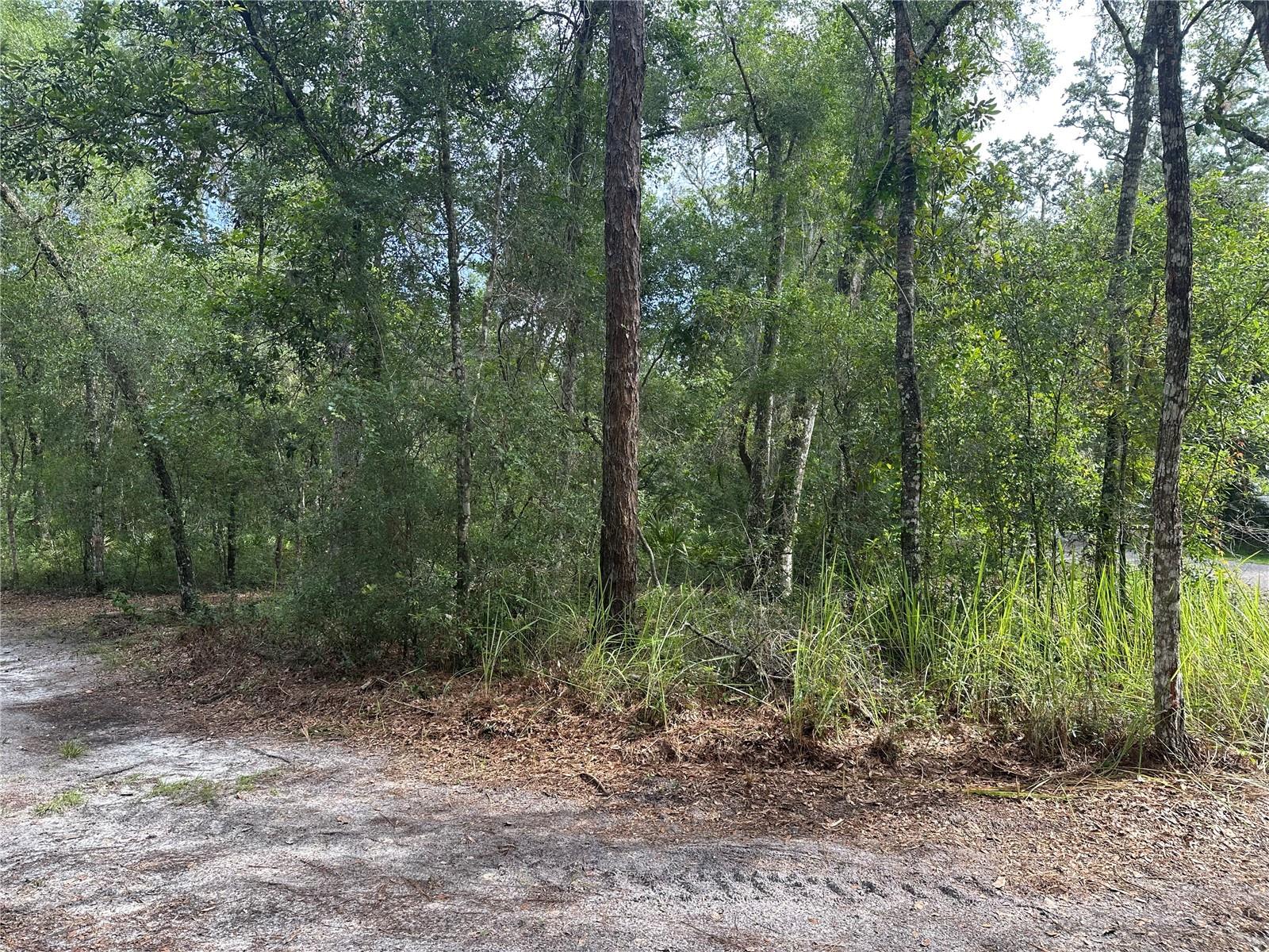 Listing photo id 16 for 14347 Old Hunter Road
