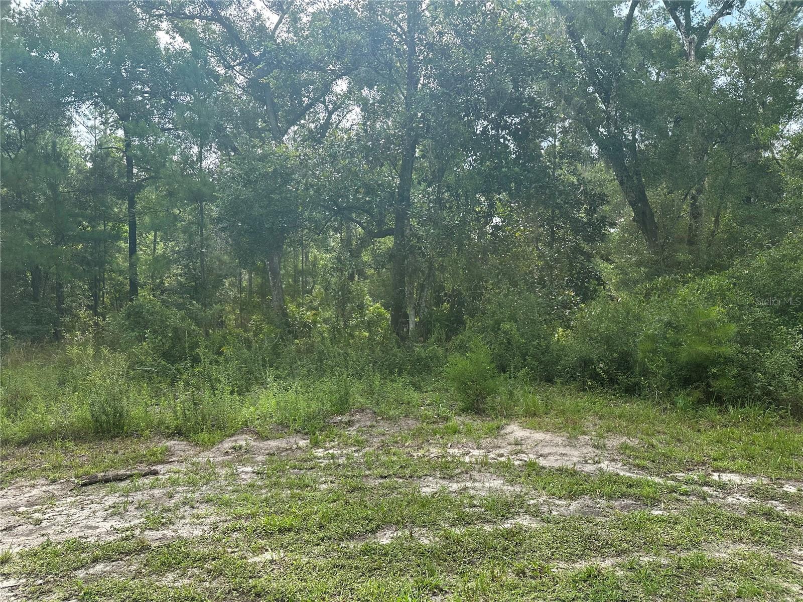 Listing photo id 17 for 14347 Old Hunter Road