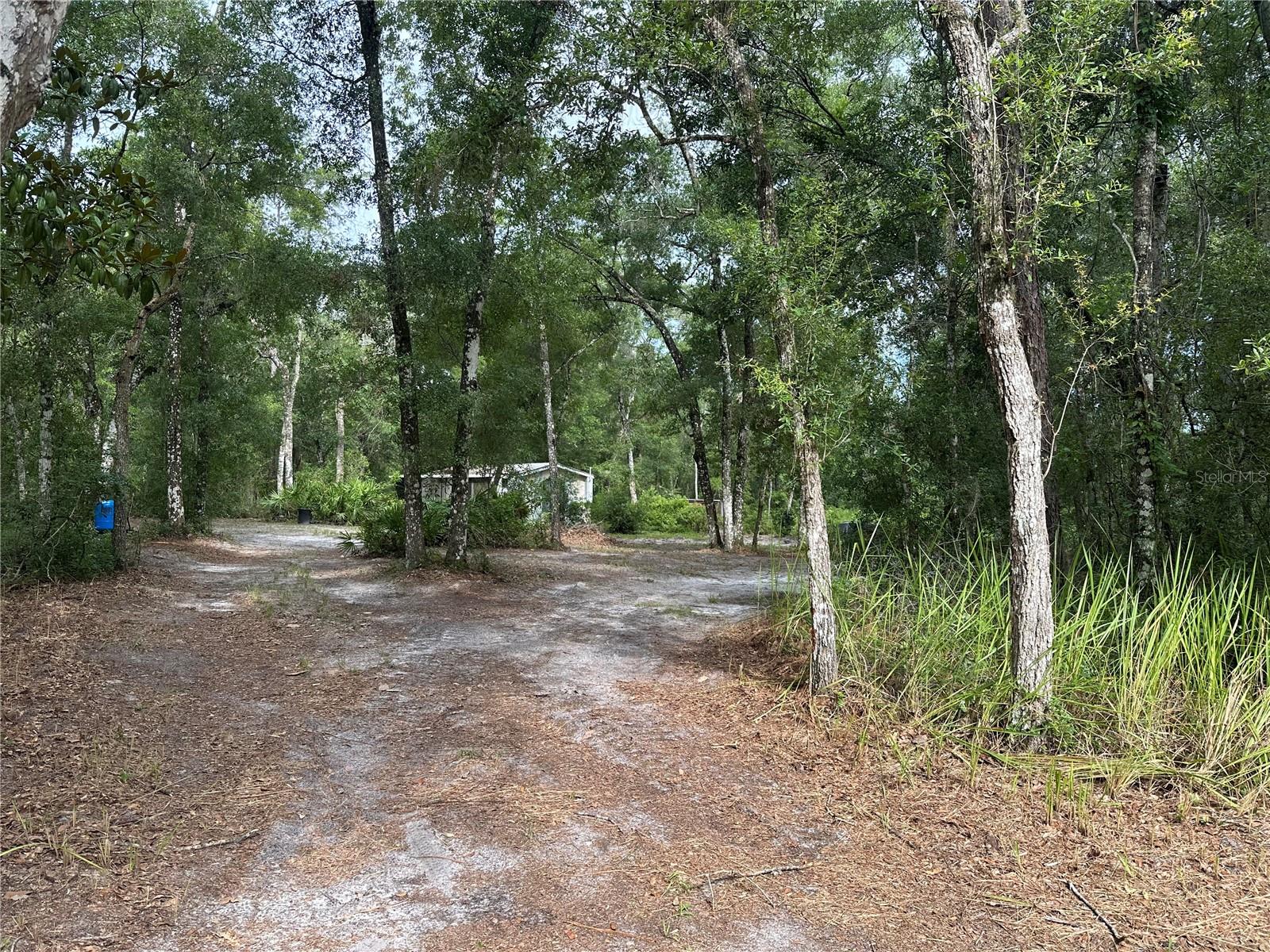 Listing photo id 18 for 14347 Old Hunter Road